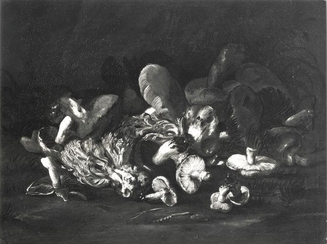 Anonimo — Simone del Tintore - sec. XVII/ XVIII - Natura morta con funghi — insieme